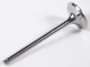 Valve Ti Exh Yz450f '10