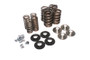 Comp Cams Valve Spring Kit, Performance