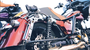 WP897-27313_1.png