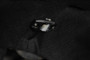 DV8 Offroad Micro Elite Utility Lights | Pair