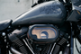 WP563-03124_1.png