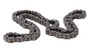 Cam Chain