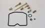 Carburetor Repair Kit