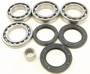 Rear Differential Bearing And Seal Kit