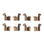 DFC 84-89 Chrysler Conquest Rear Premium Hardware Kit