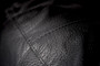 WP489-10172X_71