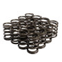 COMP Cams Single Spring Valve Set - 1.404 OD - 1.650 IH - .550 Lift - Set of 16