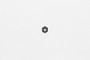Wilwood Hex Nut - 1/4-20 x 0.75 - Black Zinc
