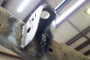 Rust Buster 01-10 Chevy Silverado 2500HD Front Cab Mount Left Side