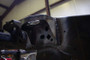 Rust Buster 09-14 Ford F150 Crew Cab Rear Cab Mount - Right Side