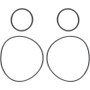 Camburg 2.25/2.50 Rear Hub O-ring Kit