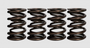Ferrea 99-00 Suzuki GSX1300R 18.82mm/25.19mm OD 13.84mm/18.82mm ID Dual Valve Springs - Set of 16
