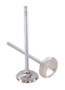 GSC P-D Toyota G16E-GTS 32.8mm Head (STD) 113.7mm Long Chrome Polished Intake Valve - Single
