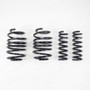 RS-R 2023+ Lexus RX350 AWD Down Sus Springs