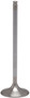 White Diamond Intake Valve