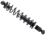 Gas Ski Shock W/ Spring Pol
