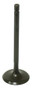 Intake Valve