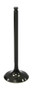Intake Valve