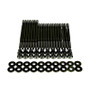 Wagner Tuning 06-10 Volkswagen Passat B6 3.6L R36 Burnished Head Stud Set