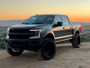 Belltech 2021+ Ford F150 4WD Trail Performance Lift Kit w/ Shocks