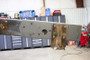 Rustbuster Rear Frame Section Left Side