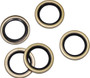 Engine Sprocket Shaft Seal Shovel/evo 5/pk Oe#12026b