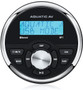 Gp1 Gauge Style Stereo