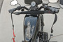 Bar Harness Ii Black Standard