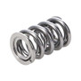 Manley Valve Spring, SPRING-1.620 DOUBLE