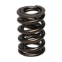 Manley Valve Spring, SPRING-1.610 DOUBLE