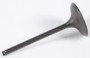 Intake Valve