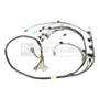 Rywire 02-04 Honda K-Series Mil-Spec Eng Harness (Custom Specs in Notes Adapter Req /Drop Ship Only)