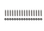 Ford Racing 2024+ Ford Mustang 5.0L (Coyote) Exhaust Gasket Kit