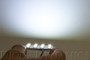 Diode Dynamics 28mm SMF2 LED Bulb - Red (Single)