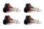 Diode Dynamics H11 HP48 LED - Cool - White Set of 4