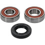 Pivot Works Premium Wheel Bearing
