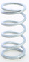 Primary Clutch Spring Silver