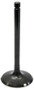 Intake Valve