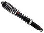 Gas Ski Shock A/c