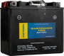 Battery Ctx20hl-bs-pw Maintenance Free