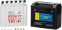 Battery Ctx20h-bs-ft Maintenance Free