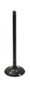 Intake Valve