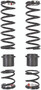 Zbroz Dual Rate Spring Kit 36" Aggressive S-d Gen4 S/m
