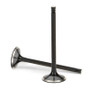 Supertech BB Chevy 2.065x.371x 5.215in Chrome Undercut Intake Valve - Single (Drop Ship Only)