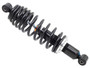 Gas Ski Shock W/ Spring Pol