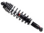 Gas Ski Shock W/ Spring Pol
