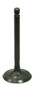 Intake Valve