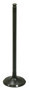 Intake Valve