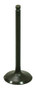 Intake Valve