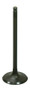 Intake Valve